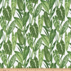 Premier Prints Mindora Nature Upholstery Fabric