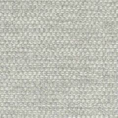 Stout Sunbrella Dice Platinum 5 Well Suited Sunbrella Collection Upholstery Fabric