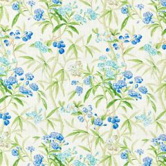 Scalamandre Lanai - Outdoor Lagoon SC 000116638 Coast To Coast Collection Upholstery Fabric