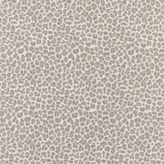 Scalamandre Backyard Bengal Limestone SC 000127316 Coast To Coast Collection Upholstery Fabric