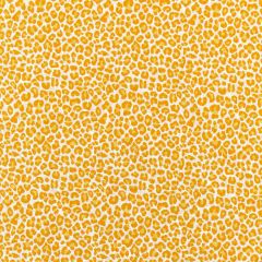 Scalamandre Backyard Bengal Tangerine SC 000227316 Coast To Coast Collection Upholstery Fabric