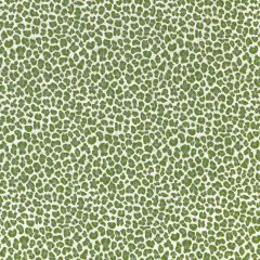 Scalamandre Backyard Bengal Ivy SC 000327316 Coast To Coast Collection Upholstery Fabric