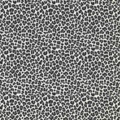 Scalamandre Backyard Bengal Slate SC 000527316 Coast To Coast Collection Upholstery Fabric