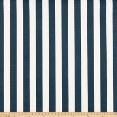 Premier Prints Stripe Oxford Upholstery Fabric