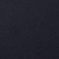 Sunbrella Play Navy 40616-0010 Elements Collection Upholstery Fabric