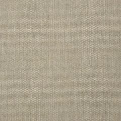 Sunbrella Sailcloth Space 32000-0027 Elements Collection Upholstery Fabric