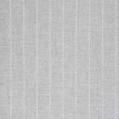 Sunbrella Ticking Fog 40554-0003 Fusion Collection Upholstery Fabric