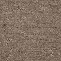 Sunbrella Canvas Mushroom 14067-0000 Balance Collection Upholstery Fabric