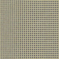 Sunbrella Domino Joker DOM R045 140 Bahia European Collection Upholstery Fabric