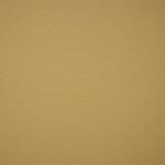 Sunbrella Natte Amber NAT 10235 140 Odyssey European Collection Upholstery Fabric