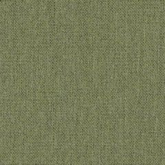 Sunbrella Natte Pistachio NAT 10233 140 Odyssey European Collection Upholstery Fabric