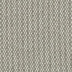 Sunbrella Zori Matcha ZOR R059 140 Bahia European Collection Upholstery Fabric