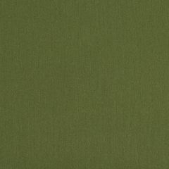 Mayer Silverweave Jade Sw-003 Upholstery Fabric