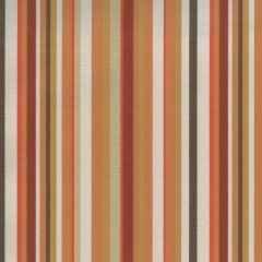 Tempotest Home Tivoli Canyon 51695-19 Bel Mondo Collection Upholstery Fabric