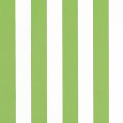 Thibaut Cabana Stripe Kiwi W81633 Locale Collection Upholstery Fabric