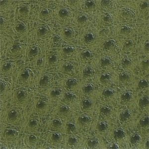 Buy Skin Tex Ostrich SO-342 Meadow Outdoor Upholstery Fabric by
