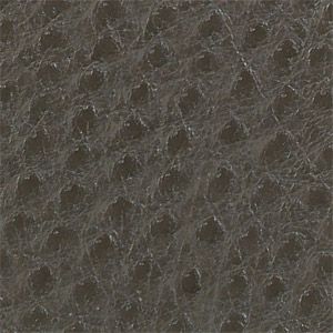 Skin Tex Ostrich SO-342 Meadow Outdoor Upholstery Fabric