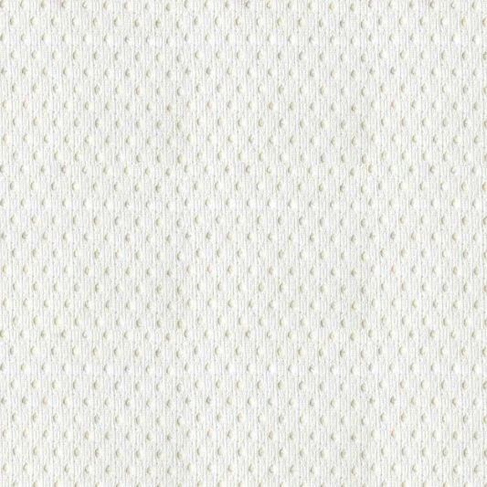 Buy Patio Lane Jersey 61 White Mesh Fabric by the Yard